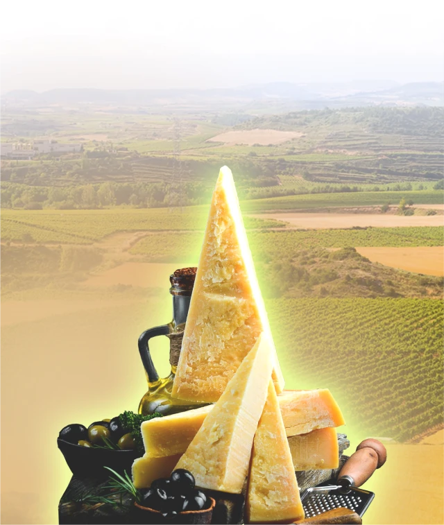background cheese trail image